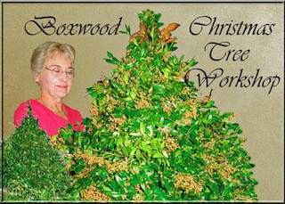 Boxwoods Christmas Tree Workshop