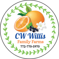 CW Willis Logo