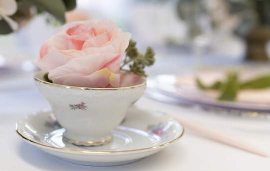 Birthday Party Rental Photos00018