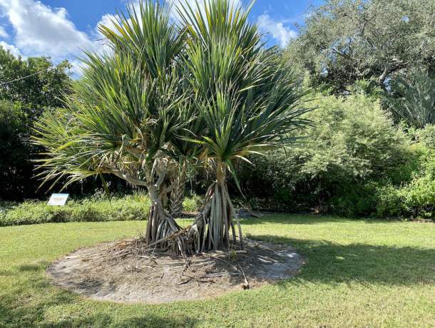 Garden-Club-IRC-202200004