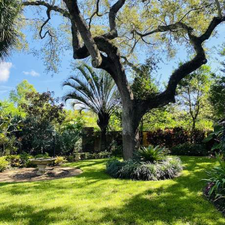 Garden-Club-IRC-202200015