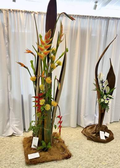 Garden-Club-Indian-River-County-Flower-Show-202200016