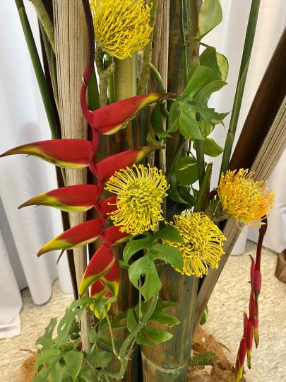 Garden-Club-Indian-River-County-Flower-Show-202200017