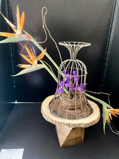 Garden-Club-Indian-River-County-Flower-Show-202200023