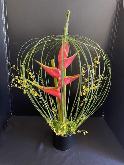 Garden-Club-Indian-River-County-Flower-Show-202200024