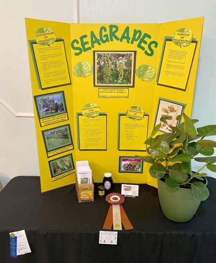 Garden-Club-Indian-River-County-Flower-Show-202200029