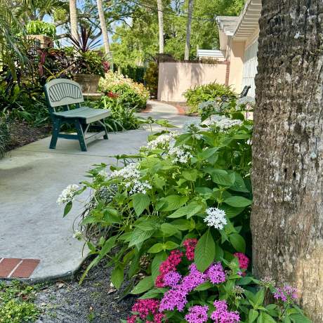 Garden Club garden photos 2025 00005