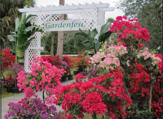 Gardenfest 2024 Photos00010