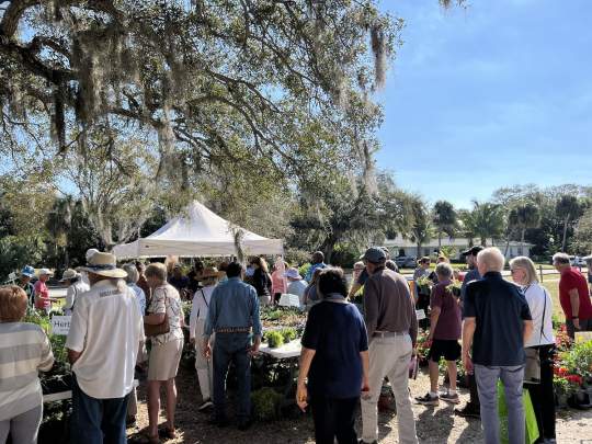 Gardenfest 2024 Photos00029.JPG