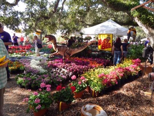 Gardenfest 2024 Photos00032