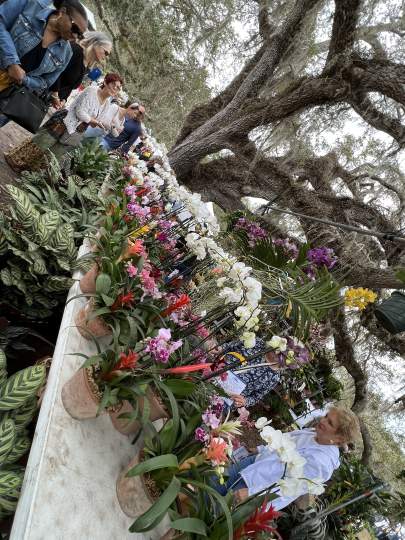 gardenfest 2023 Portrait00005.JPG