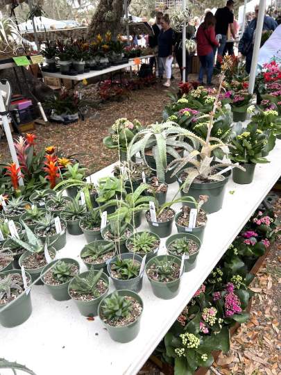 gardenfest 2023 Portrait00006.JPG