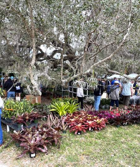 gardenfest 2023 Portrait00015.JPG