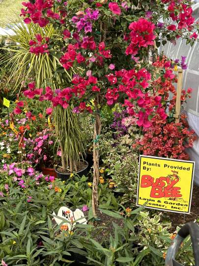 gardenfest 2023 Portrait00021.JPG