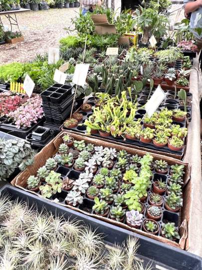 gardenfest 2023 Portrait00025.JPG