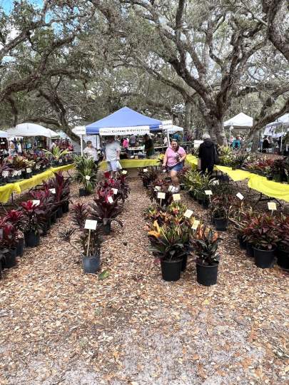 gardenfest 2023 Portrait00026.JPG