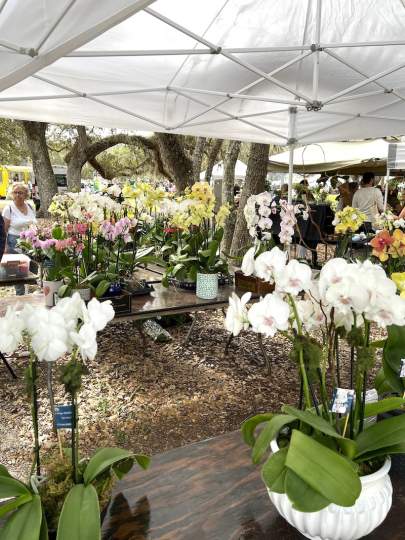 gardenfest 2023 Portrait00029.JPG