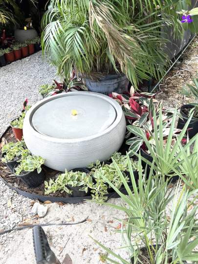 gardenfest 2023 Portrait00030.JPG