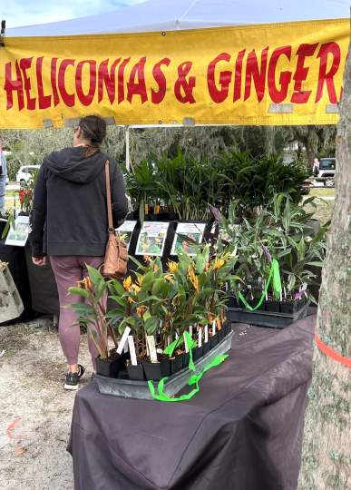 gardenfest 2023 Portrait00033.JPG