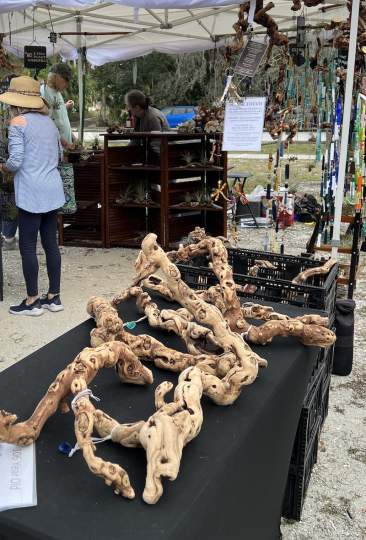 gardenfest 2023 Portrait00034.JPG