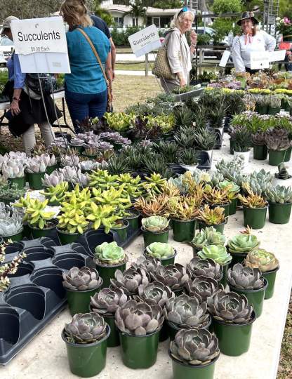 gardenfest 2023 Portrait00039.JPG