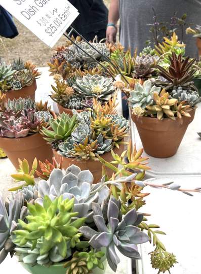 gardenfest 2023 Portrait00040.JPG