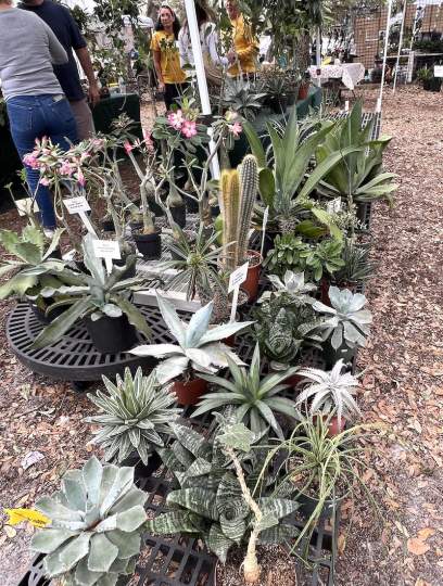 gardenfest 2023 Portrait00042.JPG